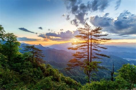 大明山|杭州大明山景区游玩攻略简介,杭州大明山景区门票/地。